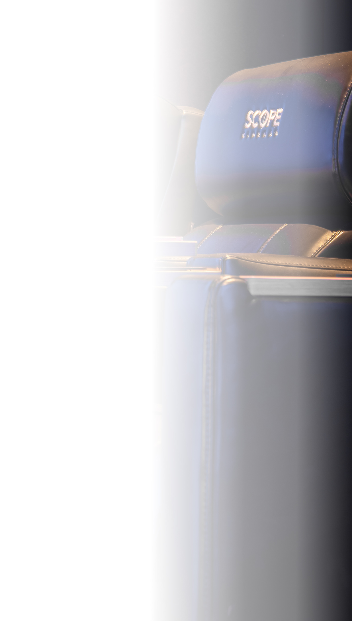 Experience Background